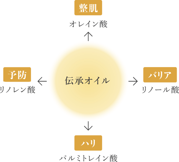 伝承オイルの成分のイラスト