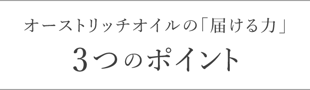 オーストリッチオイルの「届ける力」3つのポイント